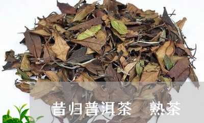 昔归普洱茶 熟茶/2023031769571